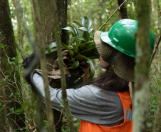 SANEPAR RESGATA ANIMAIS REPLANTIO VEGETAÇÃO