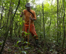 SANEPAR RESGATA ANIMAIS REPLANTIO VEGETAÇÃO