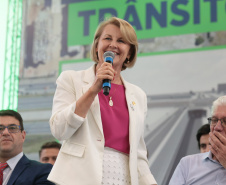 GOVERNADOR - LINHA VERDE