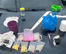 PCPR e PMPR prendem 12 pessoas em operação contra o tráfico de drogas no Sudoeste
