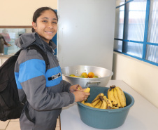 1 em cada 4 alimentos da agricultura familiar destinados às escolas do Paraná são orgânicos