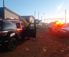 PCPR prende 12 pessoas em operação de combate ao tráfico de drogas em Guarapuava