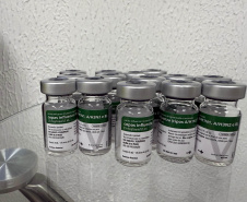  Campanha antecipada no Paraná já imunizou milhares contra a gripe