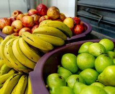 1 em cada 4 alimentos da agricultura familiar destinados à alimentação escolar da rede estadual de ensino são orgânicos