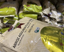 1 em cada 4 alimentos da agricultura familiar destinados à alimentação escolar da rede estadual de ensino são orgânicos