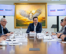 REUNIÃO DAF GOV