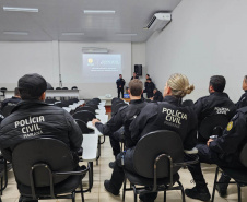 PCPR prende 12 pessoas em operação de combate ao tráfico de drogas em Guarapuava