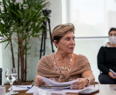 REUNIÃO DAF GOV