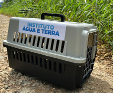 IAT GATO DO MATO