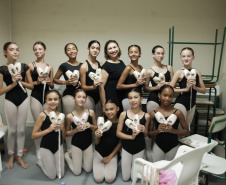 Muito além da sapatilha: o processo de iniciação às pontas na Escola de Dança Teatro Guaíra
