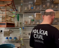 Abril Laranja: maus tratos não se limitam à agressão física, denuncie!