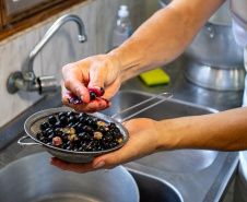 Portos do Paraná realiza oficina de coleta e despolpa do açaí juçara em comunidade no Litoral