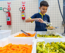 1 em cada 4 alimentos da agricultura familiar destinados à alimentação escolar da rede estadual de ensino são orgânicos