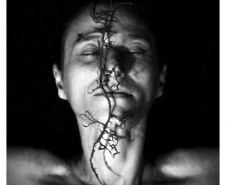 Exposição “Ciclo(s)” inaugura no MIS-PR com obras de Lu Berlese e Michelle Serena