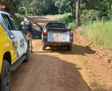 Patrulha Rural da PMPR colabora para redução de homicídio, roubo e furto em ambiente rural