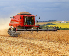 Colheitas de soja e milho alcançam 95% das áreas plantadas no Paraná