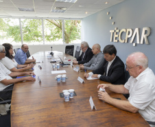 TECPAR UNESPAR ABELHA