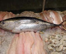   Saúde orienta sobre o consumo de pescado na Semana Santa