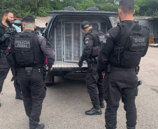 POLICIA PENAL