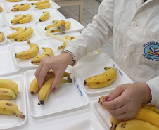 SEED ESTUDANTE PREMIADA MAIOR FEIRA DE CIÊNCIAS