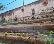 Clube de Ciências revitaliza espaços escolares e incentiva o empreendedorismo em Colombo