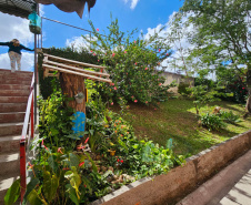 Clube de Ciências revitaliza espaços escolares e incentiva o empreendedorismo em Colombo