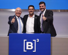 B3