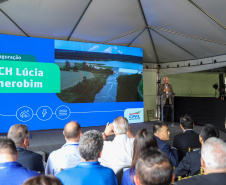 VICE GOV LAPA