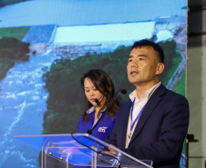 VICE GOV LAPA