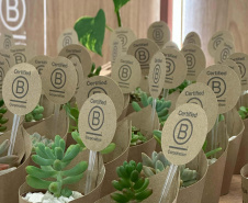 Empresa paranaense Nano4you recebeu certificado internacional de Empresa B, um dos mais importantes reconhecimentos do mundo na área de ESG