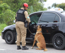  PMPR intensificará policiamento durante feriado do dia do trabalhador