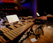 Famílias, movimentos, disposição no palco: confira como funciona uma orquestra sinfônica