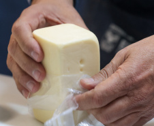 QUEIJO MON CONCURSO