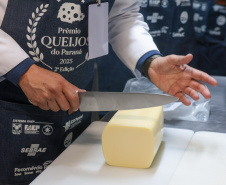 QUEIJO MON CONCURSO