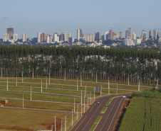 Atividade econômica puxa crescimento do mercado de energia elétrica no Paraná