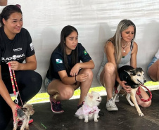 2ª Cãominhada da Polícia Penal é adiada para 7 de junho e amplia prazo para inscrições