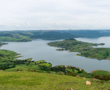 Carlópolis, no Norte Pioneiro, ganhou 1.163,64 hectares de Mata Atlântica, o equivalente a quase 1,2 mil campos de futebol, entre 2019 e 2023.