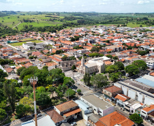 Carlópolis, no Norte Pioneiro, ganhou 1.163,64 hectares de Mata Atlântica, o equivalente a quase 1,2 mil campos de futebol, entre 2019 e 2023.