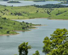 Carlópolis, no Norte Pioneiro, ganhou 1.163,64 hectares de Mata Atlântica, o equivalente a quase 1,2 mil campos de futebol, entre 2019 e 2023.