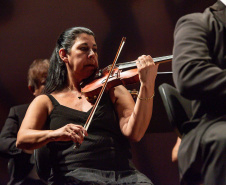 Famílias, movimentos, disposição no palco: confira como funciona uma orquestra sinfônica