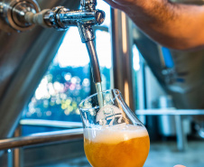 SETU - Paraná tem dois rótulos com medalha de ouro na World Beer Cup, as Olimpíadas da Cerveja