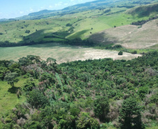  IAT identificou 478 hectares de área de vegetação danificada por fogo em quatro fazendas de Ribeirão Claro, no Norte Pioneiro