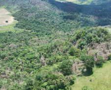  IAT identificou 478 hectares de área de vegetação danificada por fogo em quatro fazendas de Ribeirão Claro, no Norte Pioneiro