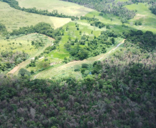  IAT identificou 478 hectares de área de vegetação danificada por fogo em quatro fazendas de Ribeirão Claro, no Norte Pioneiro