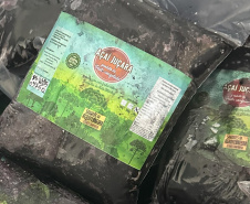 SEED - Polpas de frutas nativas enriquecem cardápio e promovem educação alimentar nas escolas do Paraná