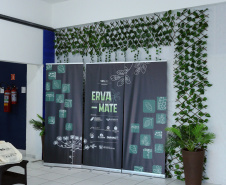 Paraná avança na internacionalização da erva-mate com novas parcerias e investimento