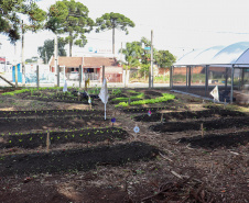 SEFA - Transformando vidas: como o Nota Paraná fortalece o trabalho de entidades sociais no Estado