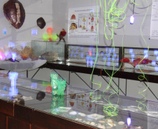 Museu de Ciências Naturais da Unicentro promove “Noite Luminescente” com oficinas