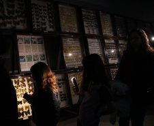 Museu de Ciências Naturais da Unicentro promove “Noite Luminescente” com oficinas