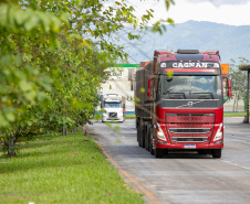 Porto de Paranaguá recebe o maior volume de caminhões da história no Pátio de Triagem